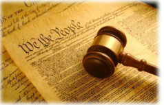 Avant gout d’une primeur