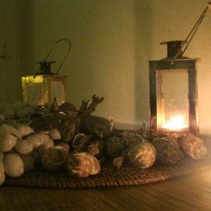 Quelques jours à Copenhague ! IMG_3617V2