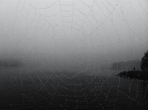 Cool Capture sur iPhone...