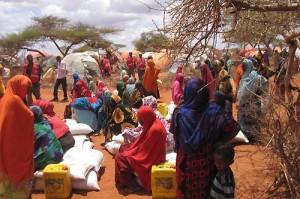 Somalie : réflexion sur l’autosuffisance