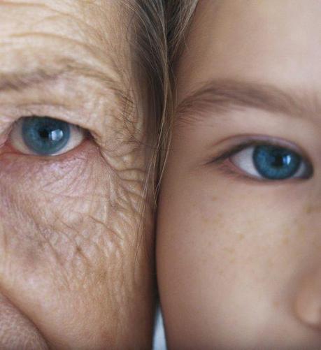 L’excuse L’excuse