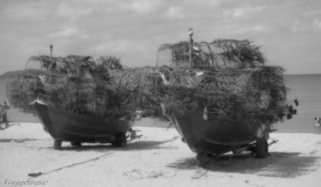 Bang Saphan ? Interdit aux pressés et stressés [en 12 vidéosHD]