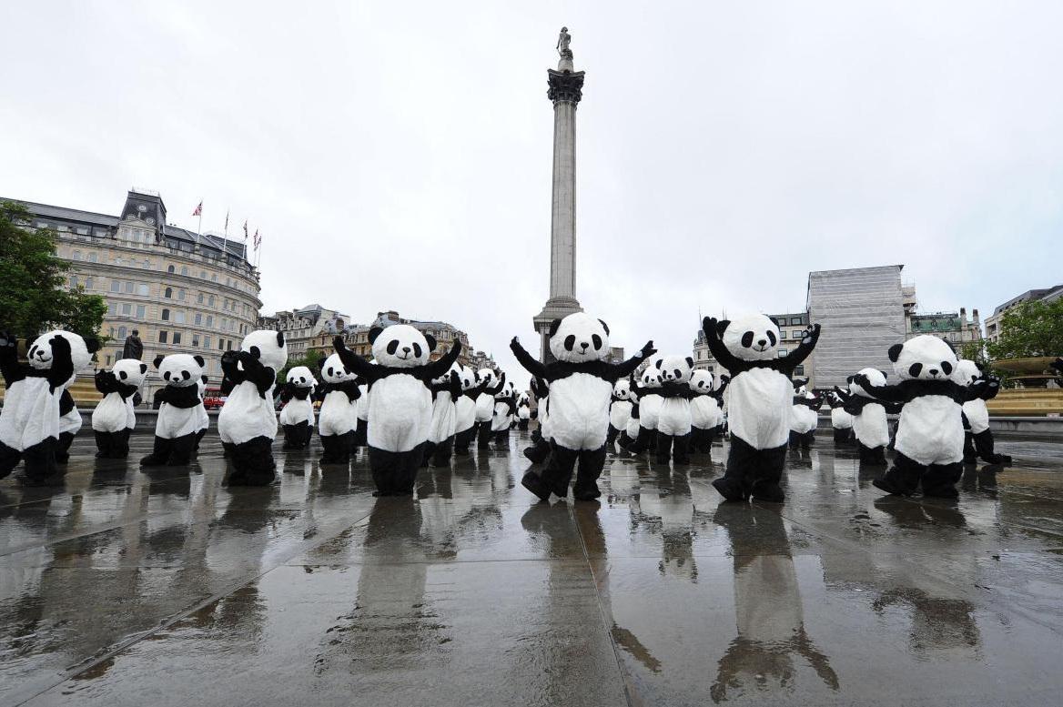 Une centaine de pandas sur Trafalgar Square (Londres)