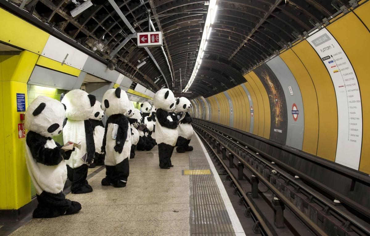 Une centaine de pandas sur Trafalgar Square (Londres)