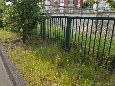 CHAUD et DANS LA RUE - Projet Photo 52 (semaines #27 et 28)