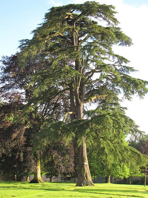 j'ai lu un livre (suite)