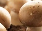 saviez-vous Expression Pousser comme champignon