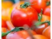 NUTRITION: Faut-il préférer Bio? L’exemple tomate