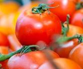 NUTRITION: Faut-il préférer le Bio? L’exemple de la tomate – Journal of Agricultural and Food Chemistry