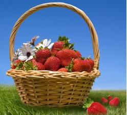 Santé CARDIOVASCULAIRE: Les fraises, un booster antioxydant pour réduire son cholestérol  – SFRRI