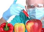 aliments génétiquement modifiés sont dangereux