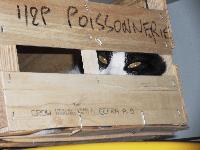 LA PHOTO DE LA SEMAINE #23