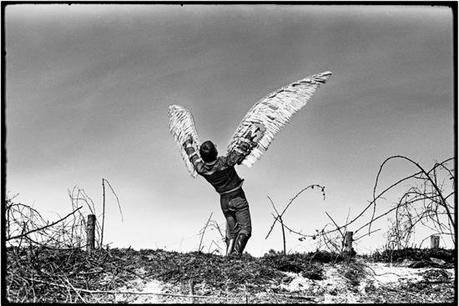 Exposition Véhicules rêvés à Orleans - 2