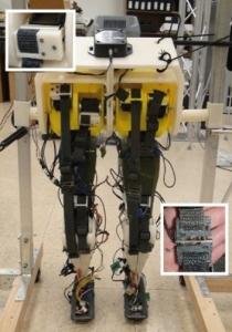 PARALYSIE MÉDULLAIRE: Des jambes robotisées qui imitent parfaitement la marche  – Journal of Neural Engineering
