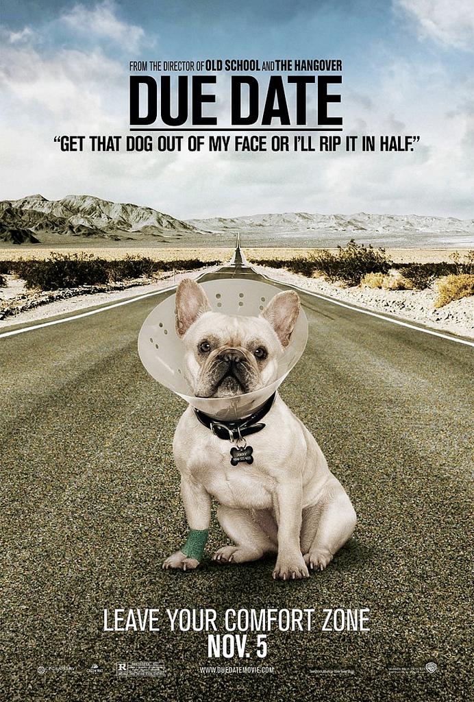 Top 10 – Affiche de film avec un chien !