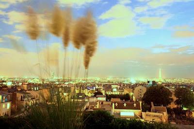 My Addresses, cocktail bar: The 7th, bar du Terrass Hotel - 12 / 14, rue Joseph de Maistres - Paris 18