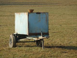 Collection d'été, les tendances