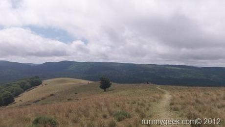 Trail du Mont Aigoual