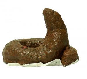 TF1, la chaîne qui fait vomir