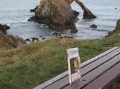 Bookcrossing, libérez livres dans nature