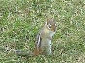 vacances dans Cantons l'Ouest