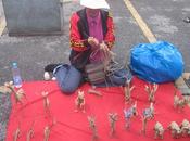 Thaïlande, Faiseuse dragons