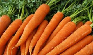 Le saviez-vous ► Expression : Les carottes sont cuites