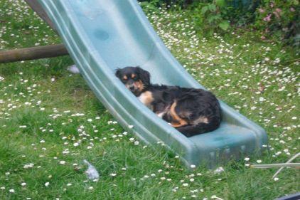 La belle aventure de Gadou