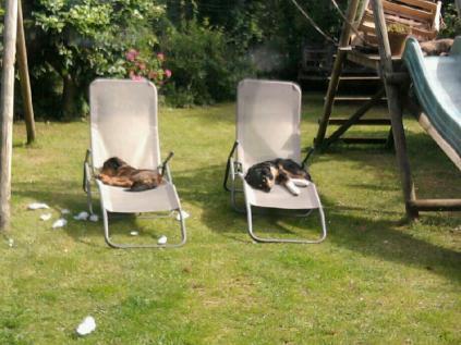 La belle aventure de Gadou