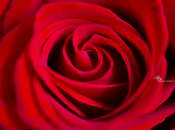 Etre photographe sensation unique