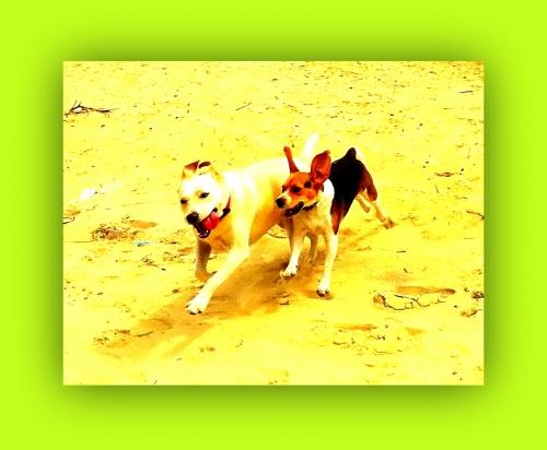 arca et grave 026-001 8.jpg