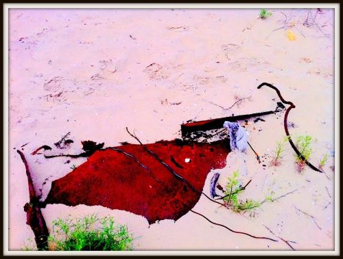 arca et grave 052 8.jpg