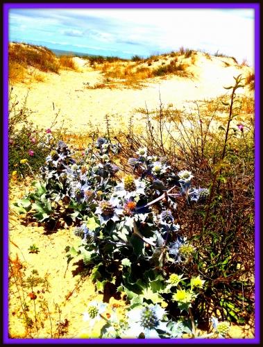 arca et grave 126 8.jpg