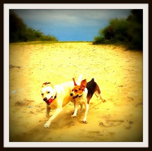 arca et grave 026 8.jpg