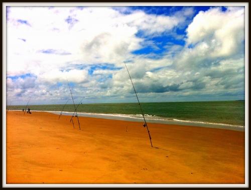 arca et grave 206 8.jpg