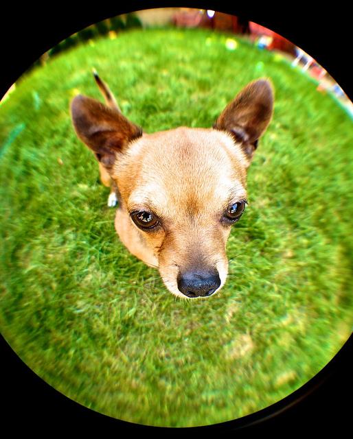 anteketborka.blogspot.com, mio4