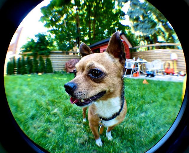 anteketborka.blogspot.com, mio10