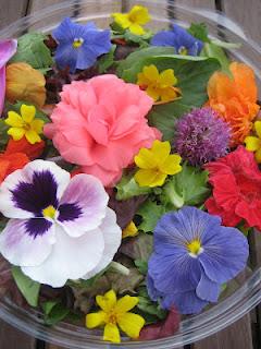 Laboratoire floral, Jour 2