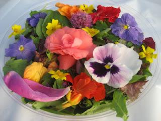 Laboratoire floral, Jour 2