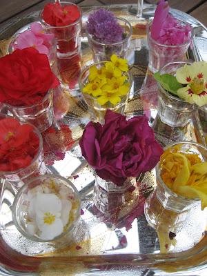 Laboratoire floral, Jour 2