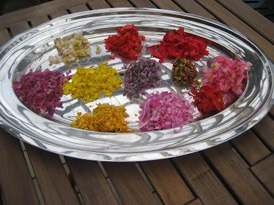 Laboratoire floral, Jour 2