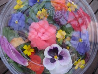 Laboratoire floral, Jour 2