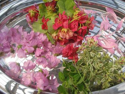 Laboratoire floral, Jour 2