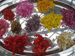 Laboratoire floral, Jour 2