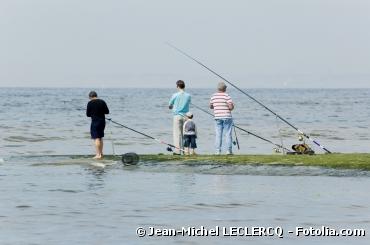 ministère l'Écologie invite pêcheurs loisir pratiquer 