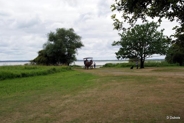 Lac de Grand lieu