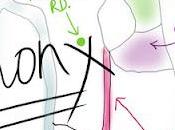 Plus loin clichés: Bronx