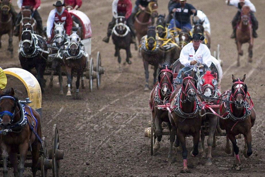 Stampede: 3 chevaux meurent lors d’une course de diligences