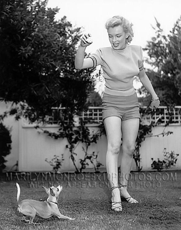 Marilyn Monroe 1926 – 1962