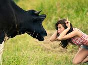 Parce qu'en Espagne aussi vaches...